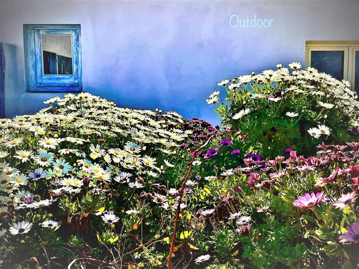 B&B Le Pavoncelle Sarde Флумини ди Куарту Екстериор снимка